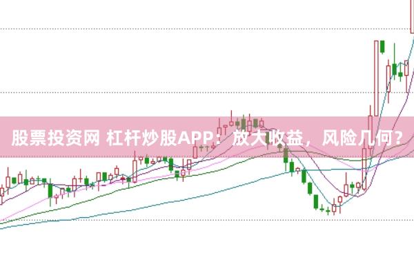 股票投资网 杠杆炒股APP：放大收益，风险几何？