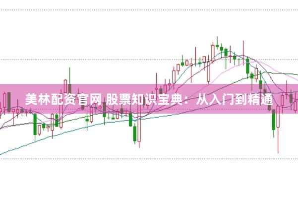 美林配资官网 股票知识宝典：从入门到精通