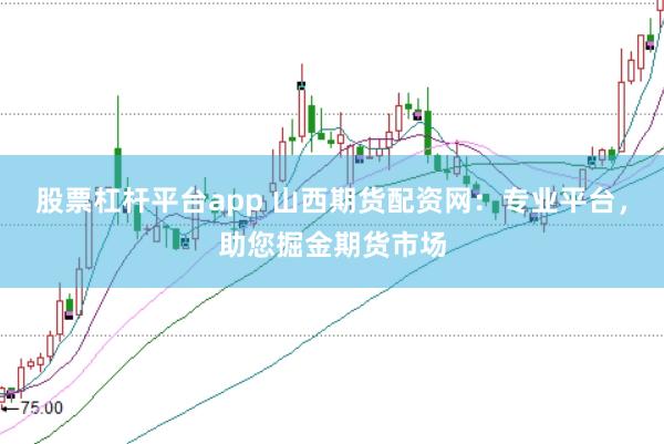 股票杠杆平台app 山西期货配资网:专业平台,助您掘金期货市场