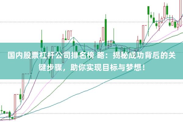 国内股票杠杆公司排名榜 略：揭秘成功背后的关键步骤，助你实现目标与梦想！