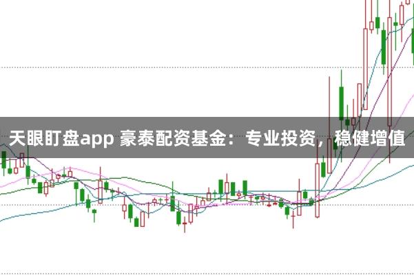 天眼盯盘app 豪泰配资基金：专业投资，稳健增值