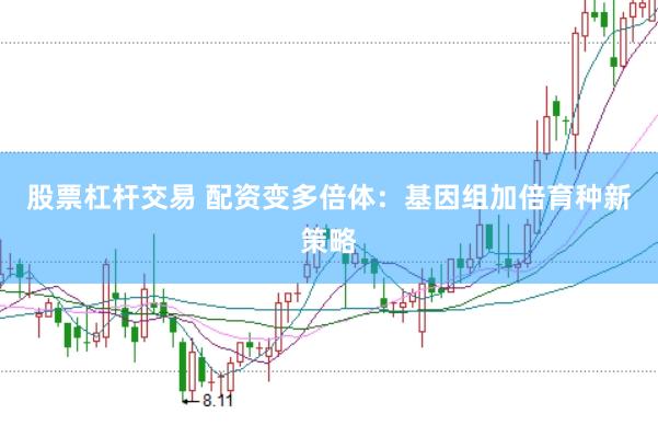 股票杠杆交易 配资变多倍体：基因组加倍育种新策略