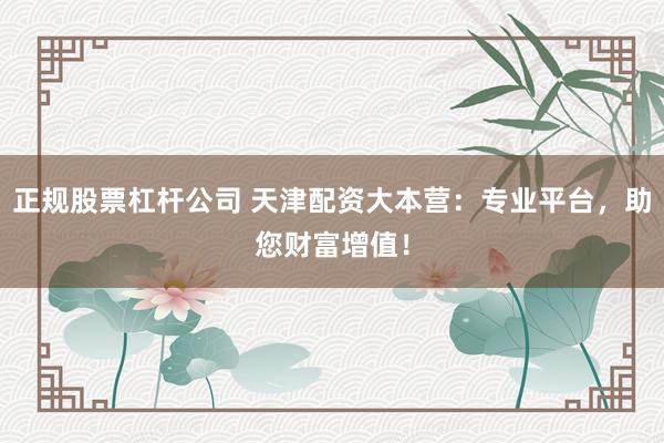 正规股票杠杆公司 天津配资大本营:专业平台,助您财富增值!