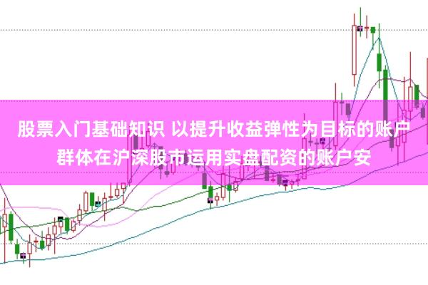 股票入门基础知识 以提升收益弹性为目标的账户群体在沪深股市运用实盘配资的账户安