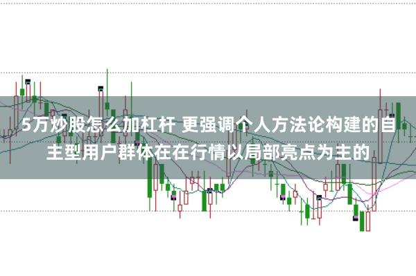 5万炒股怎么加杠杆 更强调个人方法论构建的自主型用户群体在在行情以局部亮点为主的