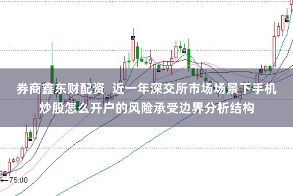 券商鑫东财配资  近一年深交所市场场景下手机炒股怎么开户的风险承受边界分析结构