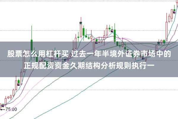 股票怎么用杠杆买 过去一年半境外证券市场中的正规配资资金久期结构分析规则执行一