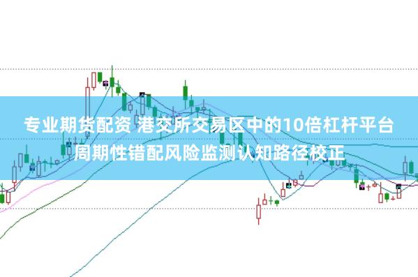 专业期货配资 港交所交易区中的10倍杠杆平台周期性错配风险监测认知路径校正