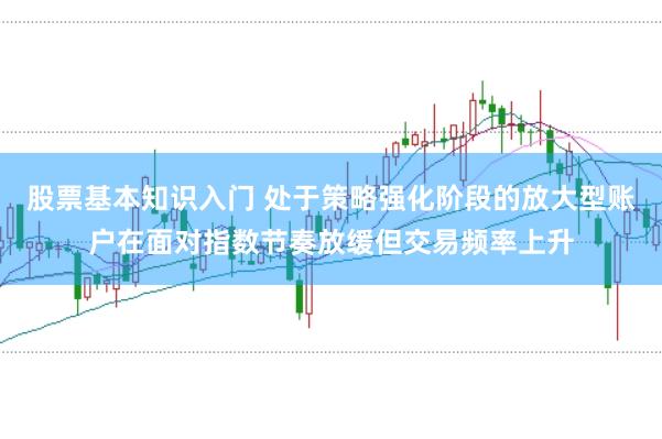股票基本知识入门 处于策略强化阶段的放大型账户在面对指数节奏放缓但交易频率上升