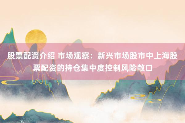 股票配资介绍 市场观察：新兴市场股市中上海股票配资的持仓集中度控制风险敞口