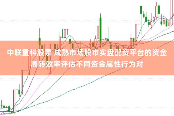 中联重科股票 成熟市场股市实盘配资平台的资金周转效率评估不同资金属性行为对