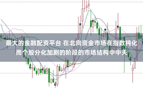 最大的金融配资平台 在北向资金市场在指数钝化而个股分化加剧的阶段的市场结构中中天