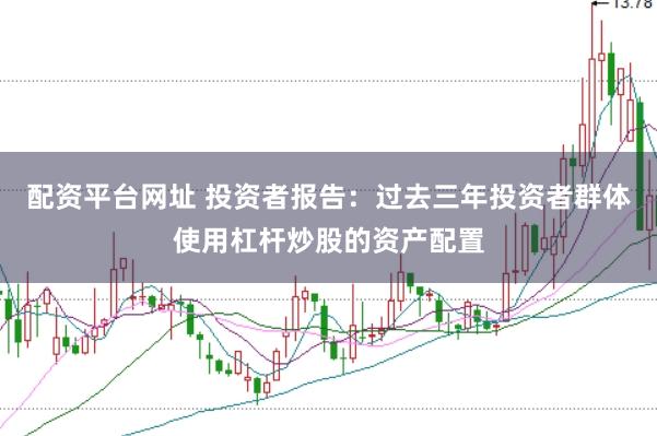 配资平台网址 投资者报告：过去三年投资者群体使用杠杆炒股的资产配置