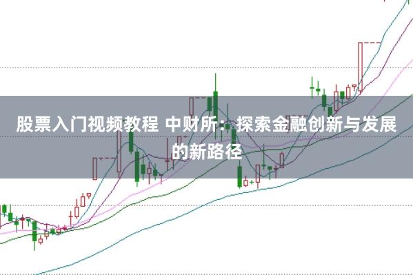 股票入门视频教程 中财所：探索金融创新与发展的新路径