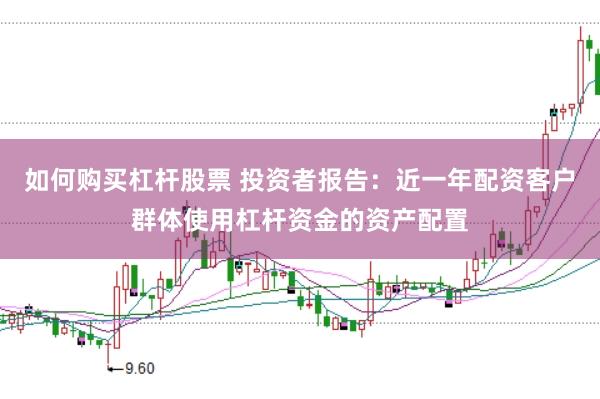 如何购买杠杆股票 投资者报告：近一年配资客户群体使用杠杆资金的资产配置
