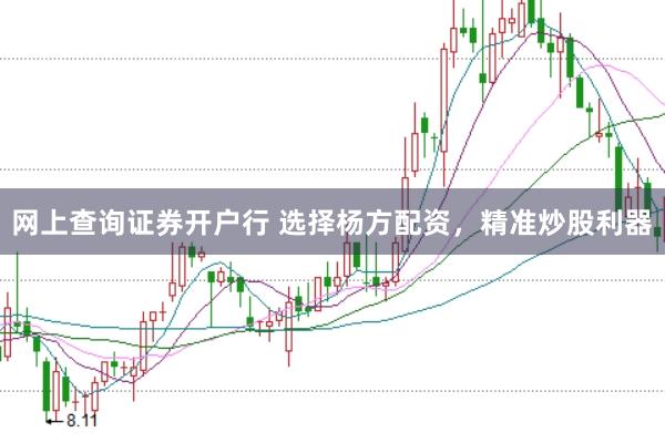 网上查询证券开户行 选择杨方配资，精准炒股利器