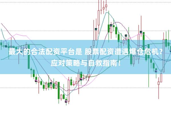 最大的合法配资平台是 股票配资遭遇爆仓危机？应对策略与自救指南！