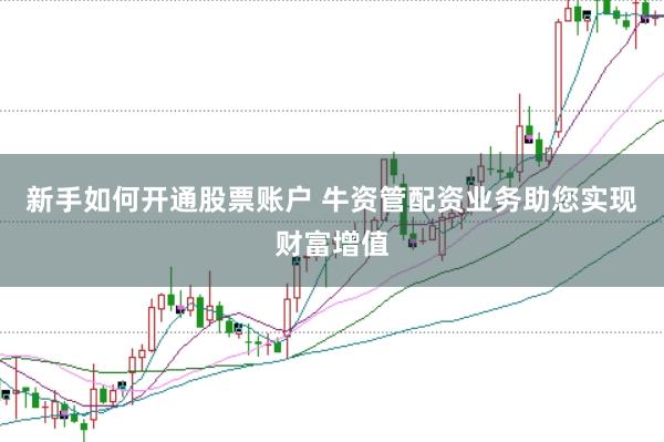新手如何开通股票账户 牛资管配资业务助您实现财富增值
