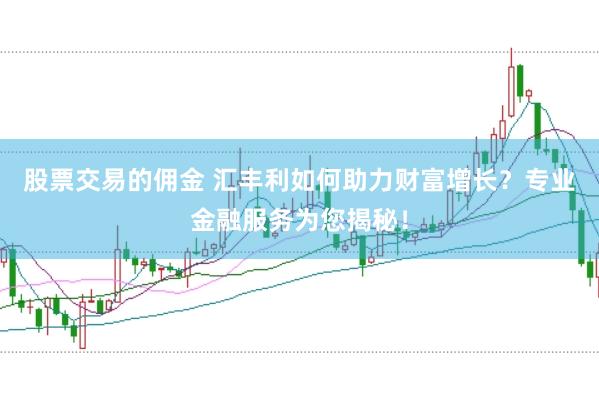 股票交易的佣金 汇丰利如何助力财富增长？专业金融服务为您揭秘！