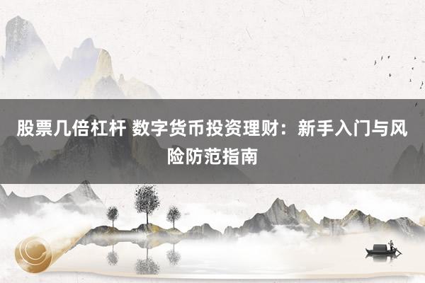 股票几倍杠杆 数字货币投资理财：新手入门与风险防范指南